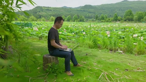 Farm worker using laptop computer in nature outdoors. Stock Footage 337860543