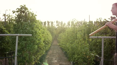 Farm workers discussing at garden. Stock Footage 64033129