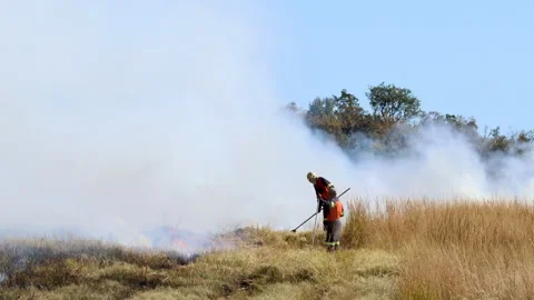 Farm workers on fireline use flappers to control fire spread in field Stock Footage 312660917