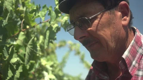 Farm workers Stock Footage 336009982