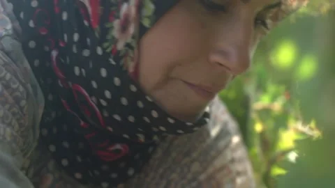 Farm workers Stock Footage 336010273