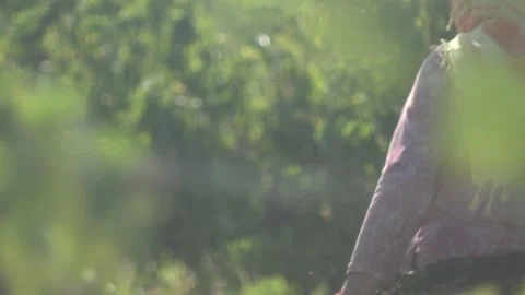 Farm workers Stock Footage 336010322