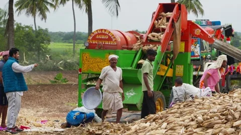 Farm workers operating a maize (corn) processing machine in a rural Stock Footage 325180290