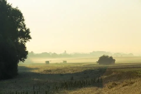 Farm workers Stock Photos