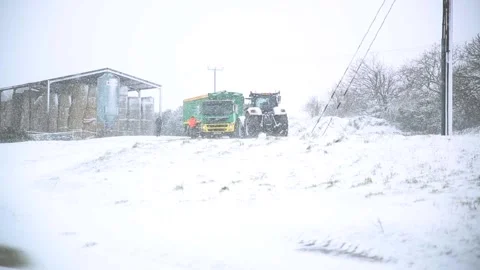 Farm workers trying to take a delivery while fighting against a heavy snow storm 動画素材 161647464