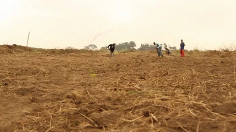 Farm working soil dolly Vídeos de archivo 37068519