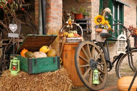 Farm yard with pumpkins and old wooden wheels autumn season Fotos de archivo