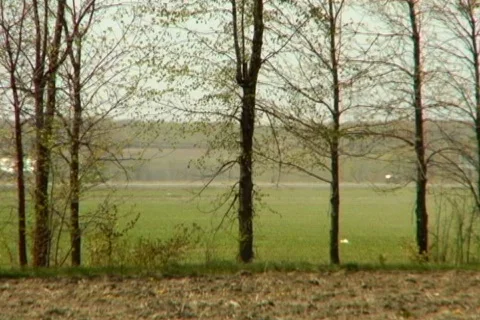 Farme Tractor  動画素材 366590