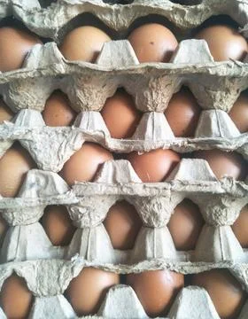 Farmed chicken eggs Stock Photos