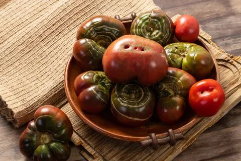 Farmed Organic Tomatoes Stock Photos