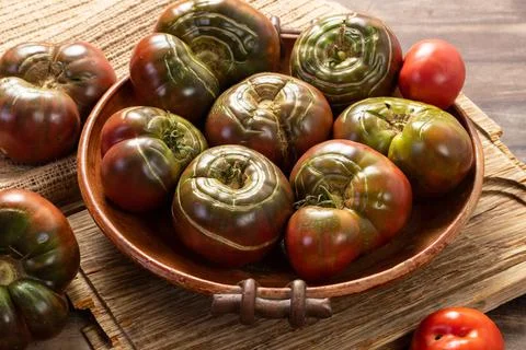 Farmed Organic Tomatoes Stock Photos