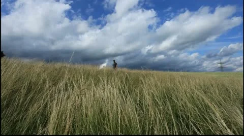 Farmer 2 動画素材 11426447