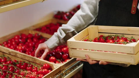 Farmer add some fresh tomato from the wooden box to the shelves in the organic Stock Footage 166522583