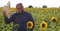 Farmer Agricultural Producer Homestead Sunflower Field Man Salute Take Off Hat 4k or 4k+ Resolution
