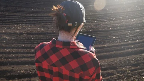 Farmer agronomist with tablet computer are checking soil quality at the farmland Stock Footage 127475480