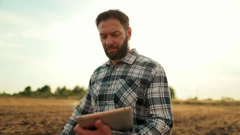 Farmer agronomist in wheat field at sunset. Ecocultural farm. Stock Footage 264804053