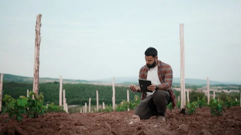 Farmer Analyzing Soil in Vineyard Using Digital Tablet for Smart Farming Stock Footage 327267465