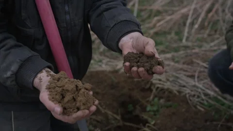 Farmer and agronomist comparing different soil types Stock Footage 340545790