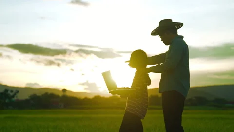 Farmer and kid looking rice field on sunset for learning outdoor from family 動画素材 203770574