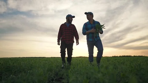 Farmer and man walk on field. Grass under boots marks outdoor work. Sunset Stock Footage 346171173