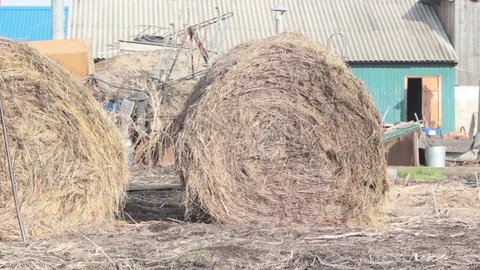 Farmer and son rolled a bale of hay Stock Footage 74947406