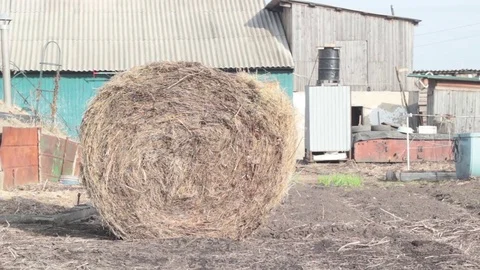 Farmer and son rolled a bale of hay Stock Footage 74947435