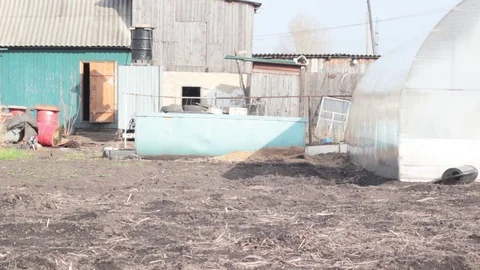Farmer and son rolled a bale of hay Stock Footage 74947460