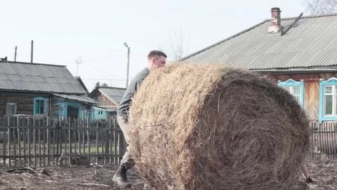 Farmer and son rolled a bale of hay Stock Footage 74947484
