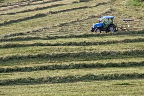 Farmer and tractor while cutting grass in a meadow in the mountains Photos
