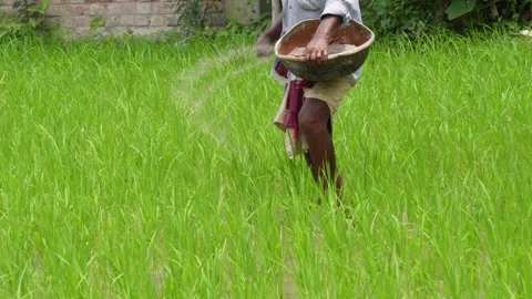 Farmer Applying Fertilizer Vídeos de archivo 344818930