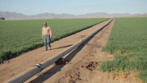 Farmer Approval with Wrench Stock Footage 94643567