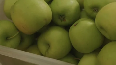 Farmer arranging fresh green apples from orchard into crate Видео 342818909