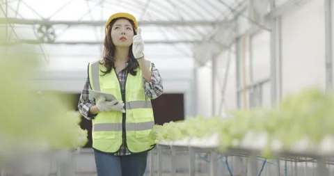 Farmer Asian are checking structure of hydroponics vegetable industry.  Stock Footage 162709275