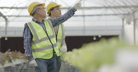 Farmer Asian are checking structure of hydroponics vegetable industry. Video stock 162709474