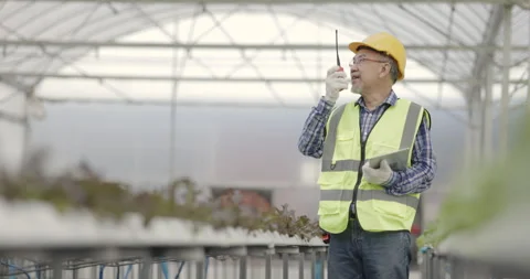 Farmer Asian are checking structure of hydroponics vegetable industry. Stock Footage 162709489