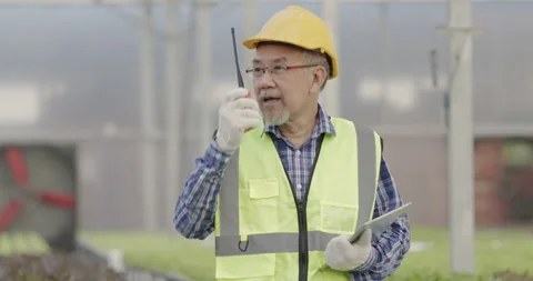 Farmer Asian are checking structure of hydroponics vegetable industry. Stock Footage 162709514