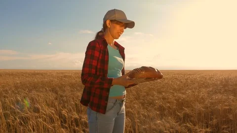 Farmer baker, woman with bread in hands on a wheat field. Confectioner girl with Stock Footage 125486898