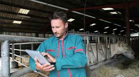 Farmer in barn using electronic tablet Video stock 14832046