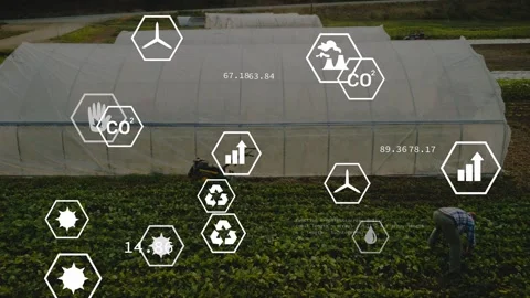 Farmer bending over rows, hand icon appearing, HUD icons updating agriculture Stock Footage 334703388