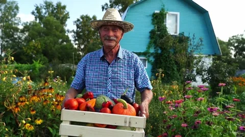 Farmer with a box of goods on a farm plot Vídeos de archivo 323164139