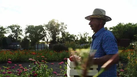 Farmer with a box of goods on a farm plot Vídeos de archivo 323164566