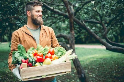 Farmer with box of vegetables 写真素材
