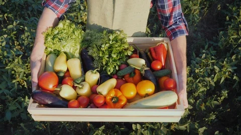 The farmer brings a box of fresh vegetables, a top view. Stock Footage 105601604