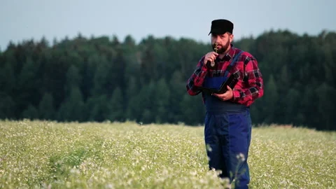 A farmer in a buckwheat field uses an electronic tablet, checks the technology Video stock 133399716