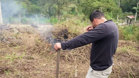 Farmer burning dried branches in the field 스톡 동영상 311126743
