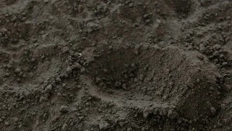 The farmer bury the beans in the ground Vídeo Stock 76278058