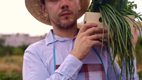 A farmer carries a box of fresh vegetables from his field at sunset Stock Footage 252667497