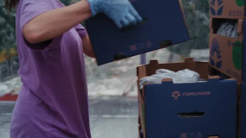 Farmer carrying boxes of fresh vegetables in greenhouse Stockbeeldmateriaal 313504919