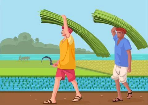 Farmer carrying crop on head Stock Illustration