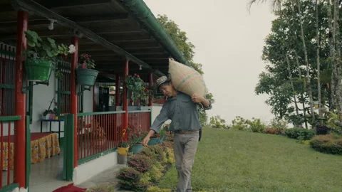 Farmer Carrying a Sack of coffee Stock Footage 270978151